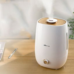 屋里有了加湿器，冬天再干也不怕