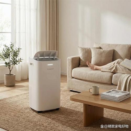 除湿机加湿器哪个好?2026年深度分析+6款热门推荐,功能全方位对比!